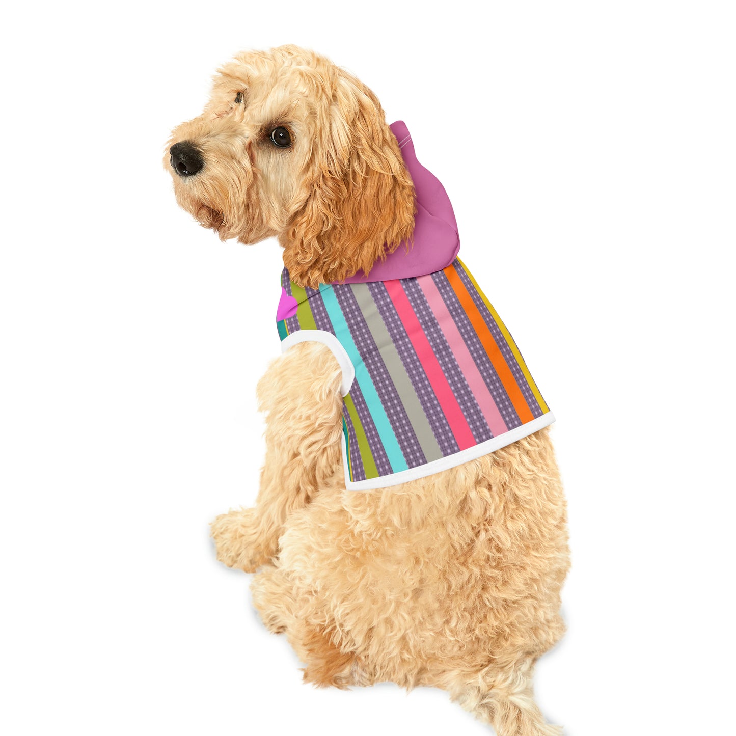 Pet Hoodie in Candy Striped with a Pink Heart