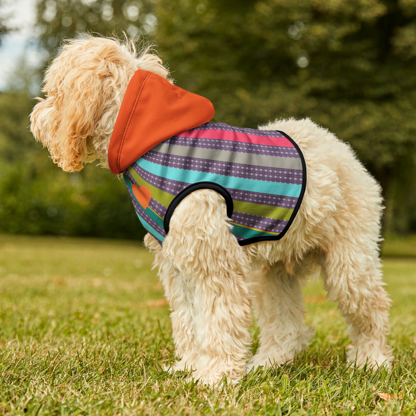 Pet Hoodie in Candy Stripe and Carnelian Heart