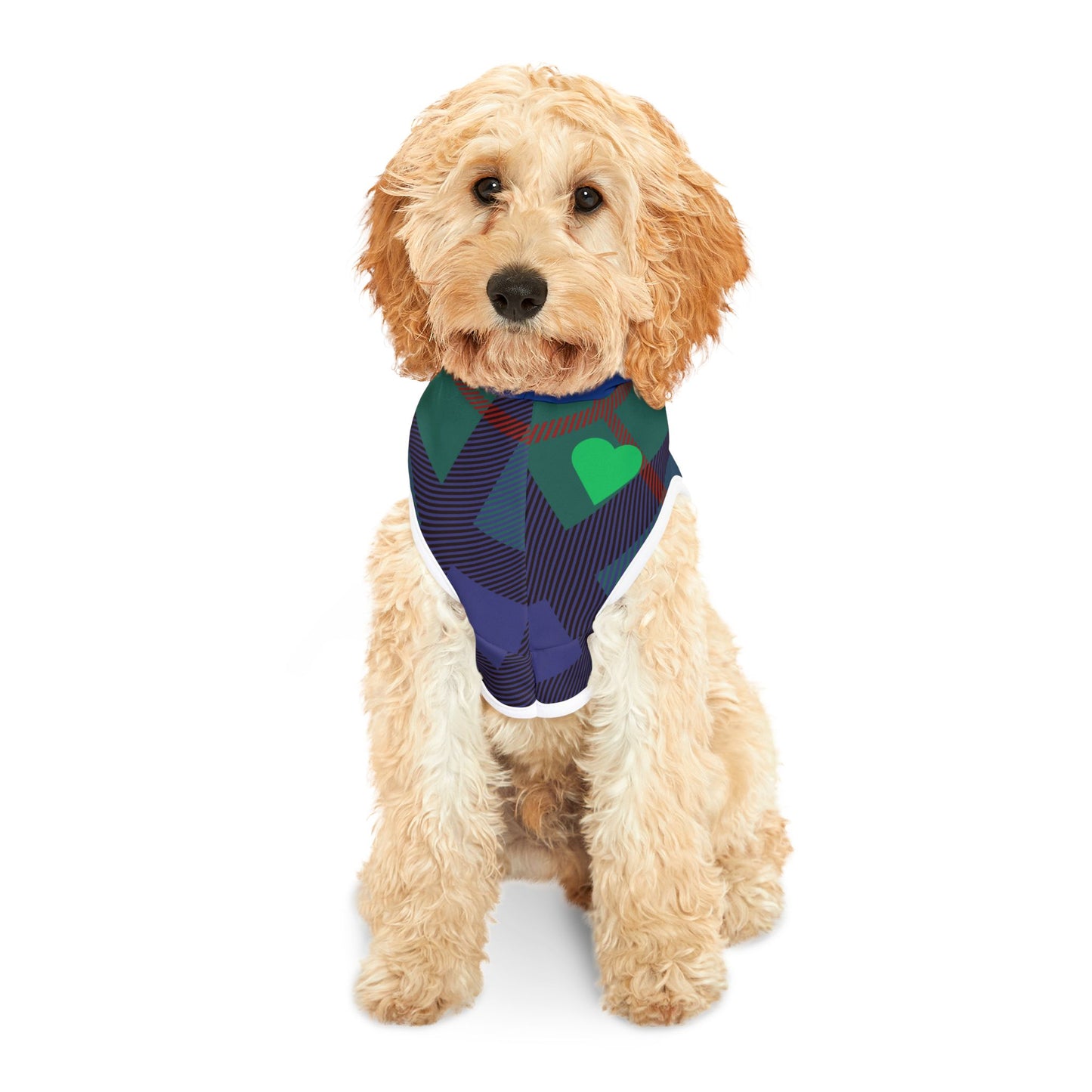 Pet Hoodie - Fun Clothing for Our Furry Friend