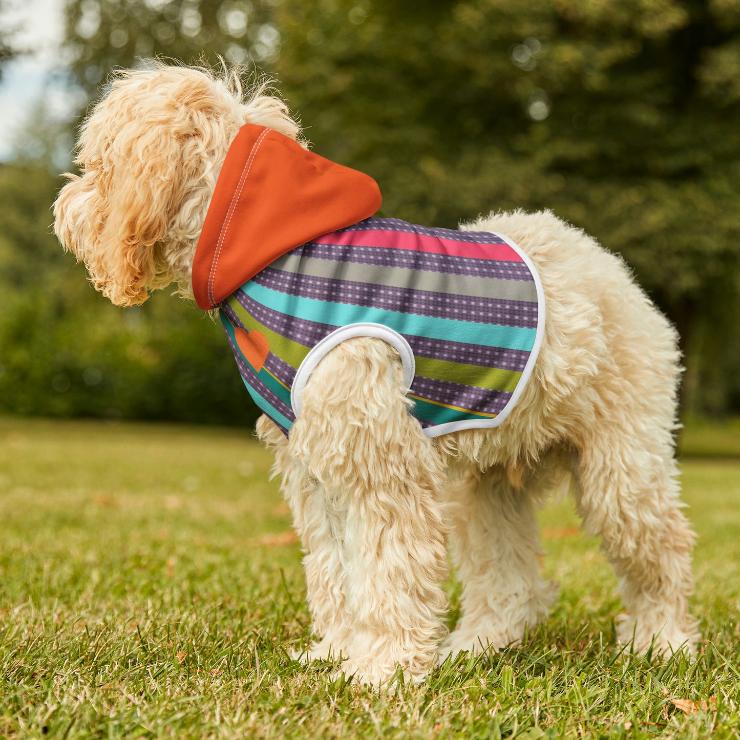 Pet Hoodie in Candy Stripe and Carnelian Heart