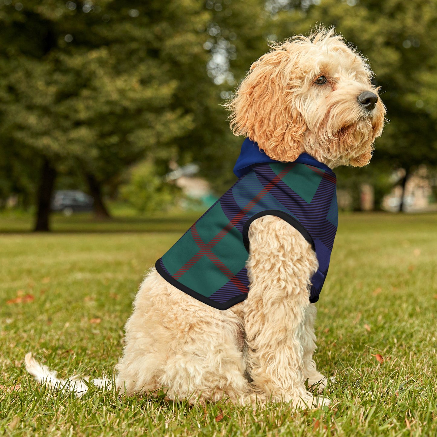 Pet Hoodie - Fun Clothing for Our Furry Friend