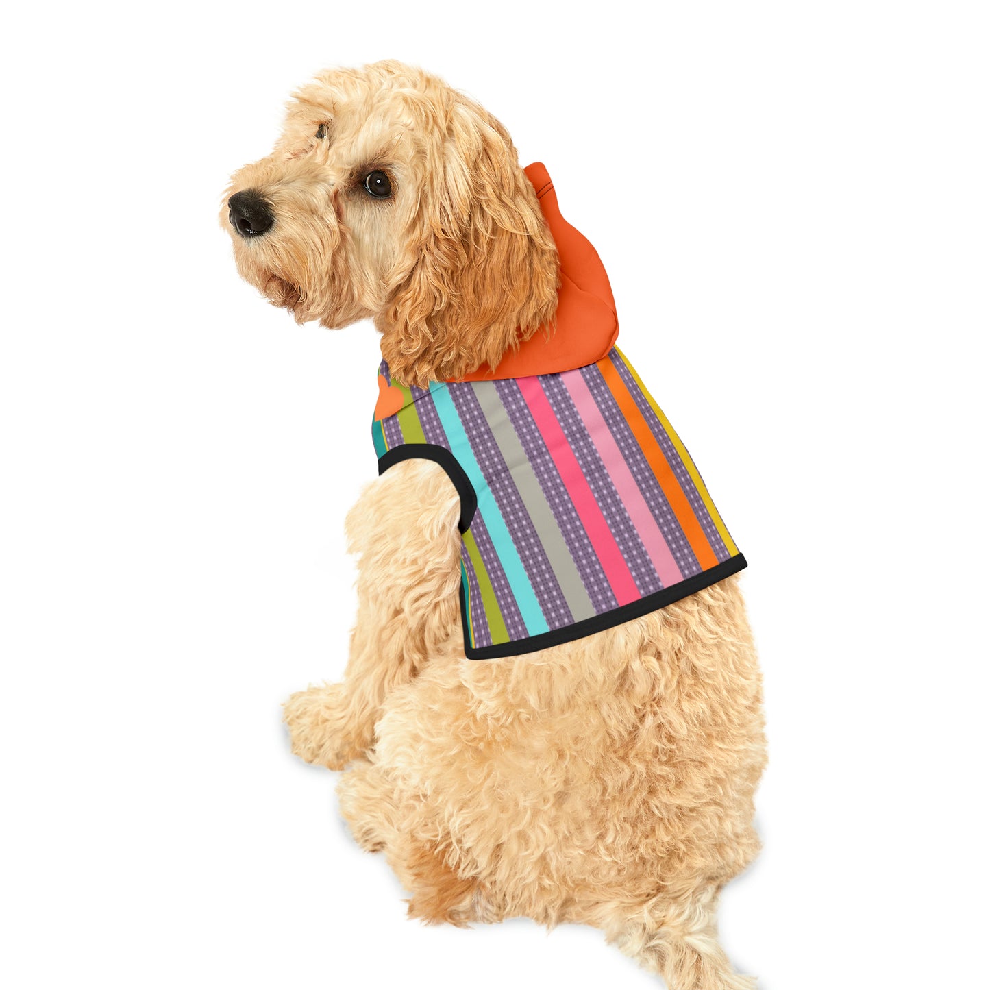 Pet Hoodie in Candy Stripe and Carnelian Heart