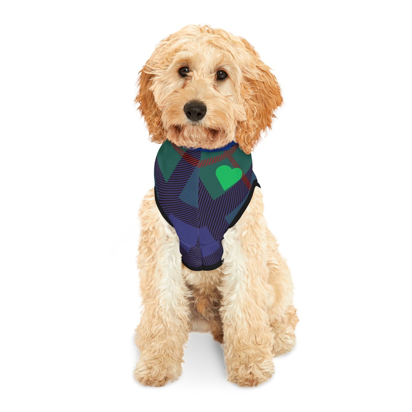 Pet Hoodie - Fun Clothing for Our Furry Friend