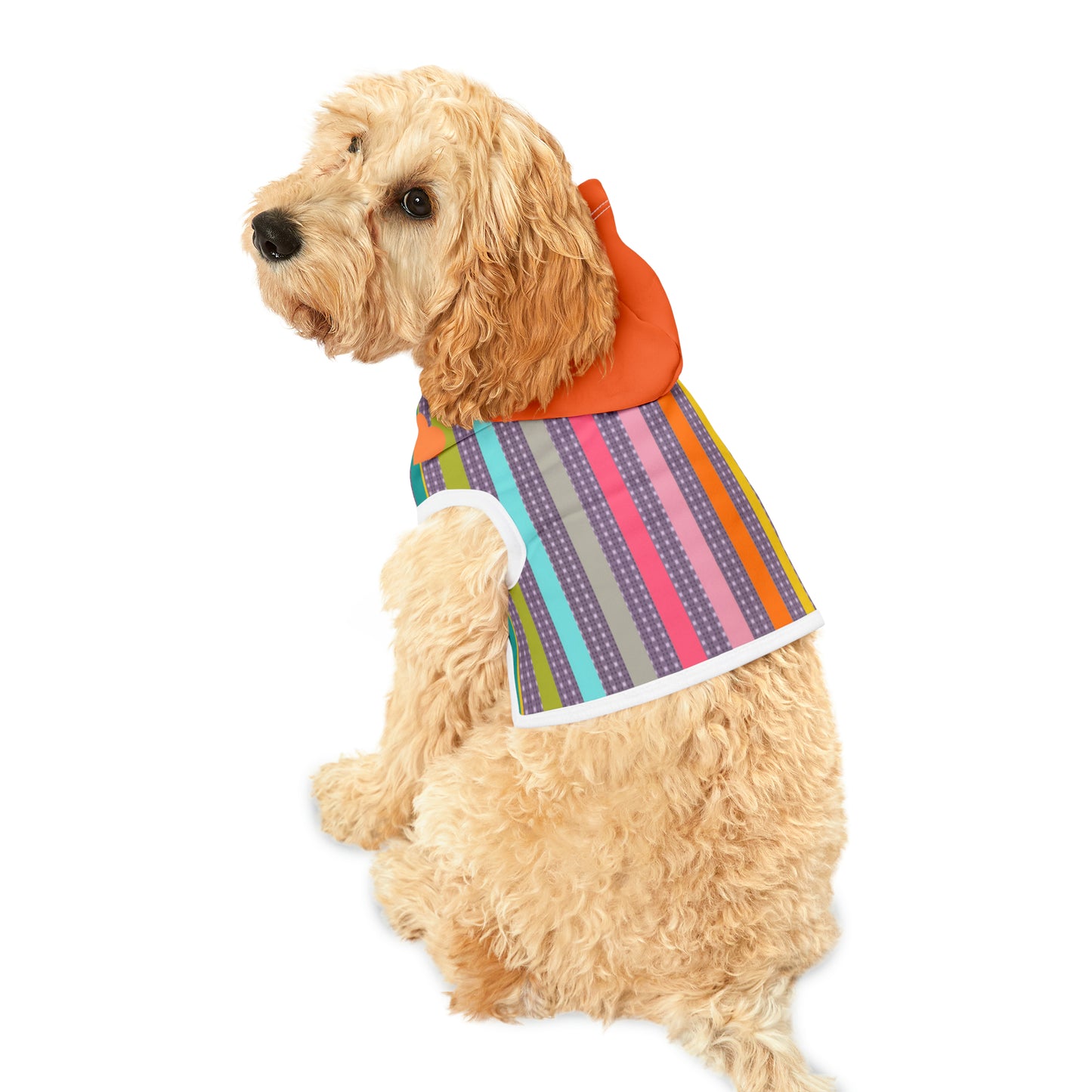 Pet Hoodie in Candy Stripe and Carnelian Heart