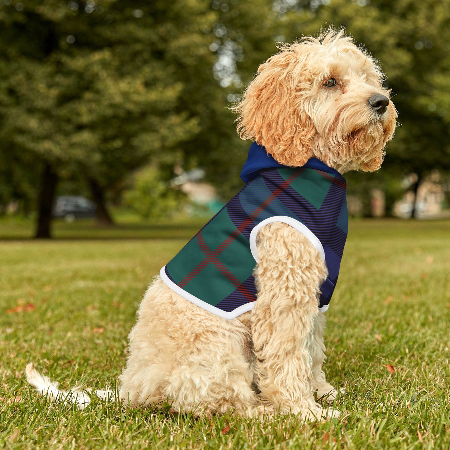 Pet Hoodie - Fun Clothing for Our Furry Friend