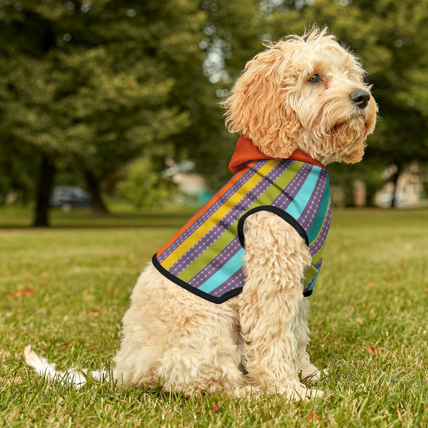 Pet Hoodie in Candy Stripe and Carnelian Heart