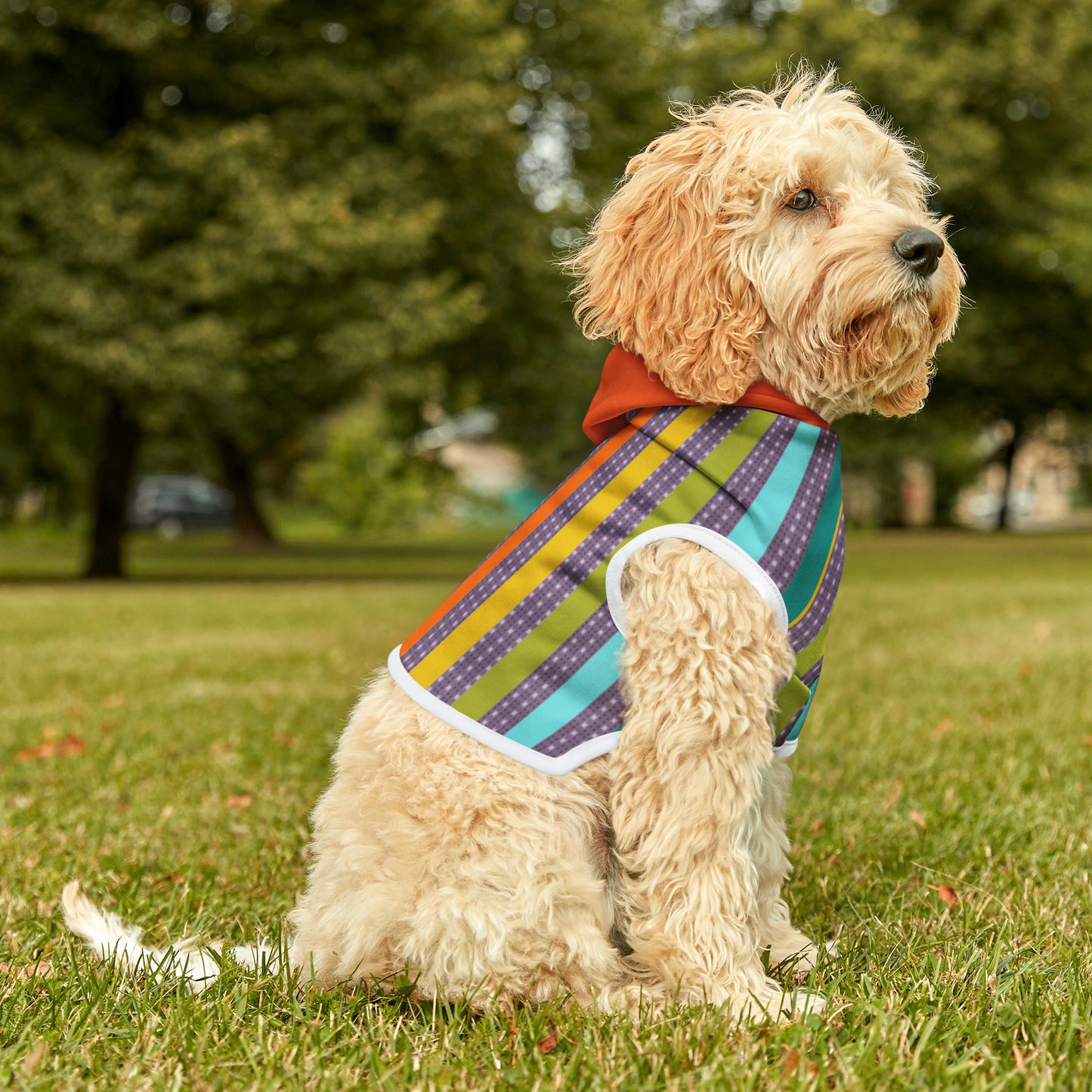 Pet Hoodie in Candy Stripe and Carnelian Heart